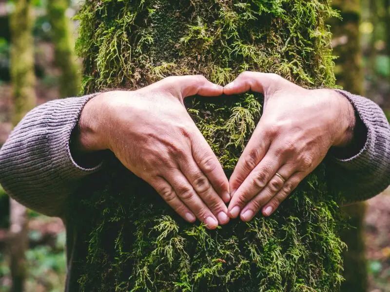 Bild zu den Informationen zu Die Räucherwelt GmbH